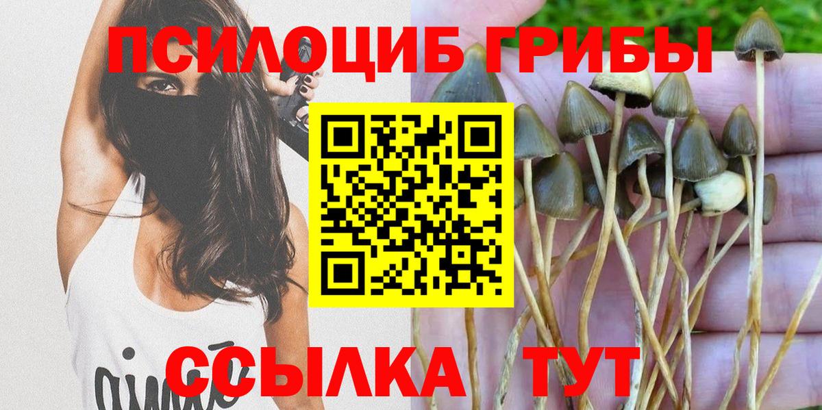 Псилоцибиновые грибы Cubensis  Псилоцибиновые грибы Cubensis  хочу   Вход с VPN  Магадан 